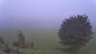 Archiv Foto Webcam Abtenau: Ausblick vom Gasthaus zur Sonnleitn 06:00