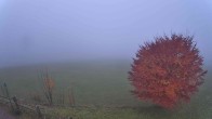Archived image Webcam Abtenau: View from Guest House Sonnleitn 05:00