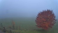 Archived image Webcam Abtenau: View from Guest House Sonnleitn 06:00