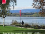 Archiv Foto Webcam Murtensee / Bise Noir 13:00