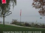 Archiv Foto Webcam Murtensee / Bise Noir 11:00