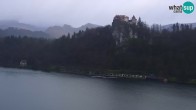 Archiv Foto Webcam Blick auf den Bleder See in Slowenien 06:00