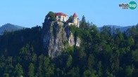 Archiv Foto Webcam Blick auf den Bleder See in Slowenien 05:00