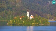 Archiv Foto Webcam Blick auf den Bleder See in Slowenien 05:00