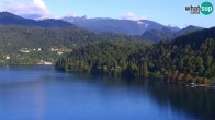 Archiv Foto Webcam Blick auf den Bleder See in Slowenien 06:00