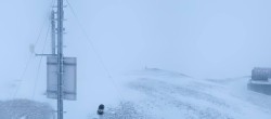 Archived image Webcam On the Summit of Palinkopf 15:00