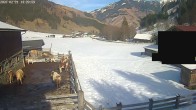 Archiv Foto Webcam Raurisertal, Salzburger Land 13:00