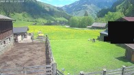 Archiv Foto Webcam Raurisertal, Salzburger Land 11:00