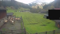 Archiv Foto Webcam Raurisertal, Salzburger Land 11:00