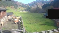Archiv Foto Webcam Raurisertal, Salzburger Land 11:00
