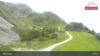 Archived image Webcam Gamsleiten Gipfel 08:00