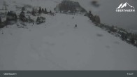 Archived image Webcam Gamsleiten Gipfel 12:00