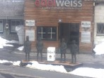 Archived image Webcam Hotel Edelweiss 11:00