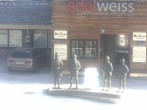 Archiv Foto Webcam Obertauern: Sporthotel Edelweiss 07:00