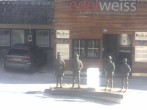 Archiv Foto Webcam Obertauern: Sporthotel Edelweiss 07:00