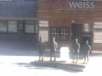 Archiv Foto Webcam Obertauern: Sporthotel Edelweiss 07:00