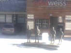 Archiv Foto Webcam Obertauern: Sporthotel Edelweiss 07:00