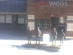 Archiv Foto Webcam Obertauern: Sporthotel Edelweiss 07:00