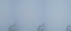 Archived image Webcam Kleinmatterhorn Zermatt 09:00