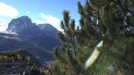 Archived image Webcam Col Raiser - S. Cristina 09:00
