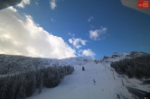 Archiv Foto Webcam Hochzillertal: Ausblick Marendalm 11:00
