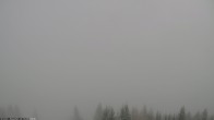 Archived image Webcam Vista Alpe di Siusi 08:00