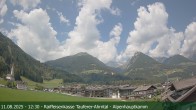 Archiv Foto Webcam Tauferer Ahrntal: Luttach 11:00
