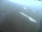 Archiv Foto Webcam Bergstation Klingenstock, Stoos 15:00
