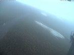 Archiv Foto Webcam Bergstation Klingenstock, Stoos 17:00