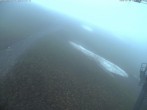 Archiv Foto Webcam Bergstation Klingenstock, Stoos 19:00