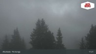 Archived image Webcam Piz Sorega 10:00