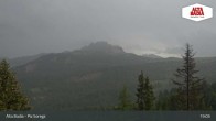 Archived image Webcam Piz Sorega 02:00