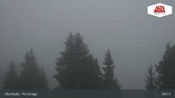 Archiv Foto Webcam Piz Sorega 08:00