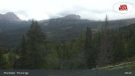 Archiv Foto Webcam Piz Sorega 08:00