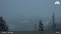 Archiv Foto Webcam Piz Sorega 08:00
