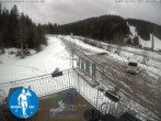 Archived image Webcam Cross Country Skiing Center Notschrei, Black Forest 13:00