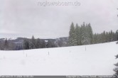 Archiv Foto Webcam Stübenwasen, Schwarzwald 11:00