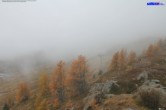 Archiv Foto Webcam Ausservillgraten im Thurntaler-Gebiet 11:00