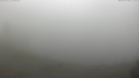 Archiv Foto Webcam Jochstub'n-See, Scheffau 11:00