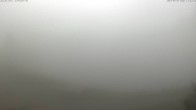 Archiv Foto Webcam Jochstub'n-See, Scheffau 13:00