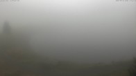 Archiv Foto Webcam Jochstub'n-See, Scheffau 17:00