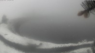 Archiv Foto Webcam Jochstub'n-See, Scheffau 08:00