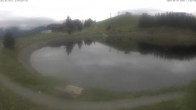 Archiv Foto Webcam Jochstub'n-See, Scheffau 11:00