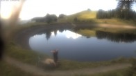 Archiv Foto Webcam Jochstub'n-See, Scheffau 09:00