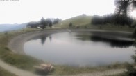 Archiv Foto Webcam Jochstub'n-See, Scheffau 11:00