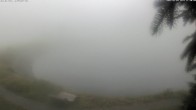 Archiv Foto Webcam Jochstub'n-See, Scheffau 11:00