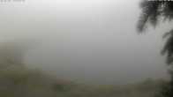 Archiv Foto Webcam Jochstub'n-See, Scheffau 09:00
