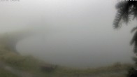 Archiv Foto Webcam Jochstub'n-See, Scheffau 05:00