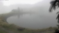 Archiv Foto Webcam Jochstub'n-See, Scheffau 11:00