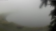 Archiv Foto Webcam Jochstub'n-See, Scheffau 09:00